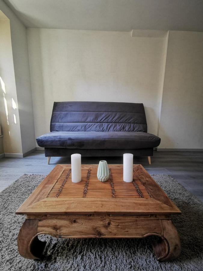 Apartament Charmant T2, Proche Gare Vienne  Zewnętrze zdjęcie