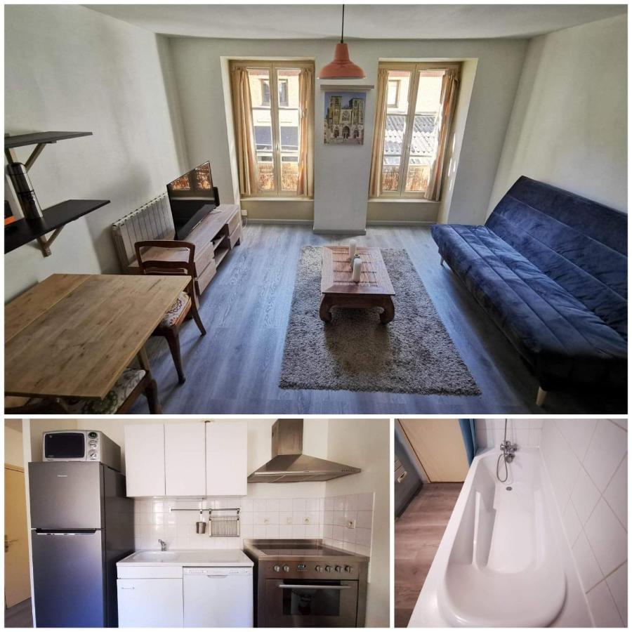 Apartament Charmant T2, Proche Gare Vienne  Zewnętrze zdjęcie