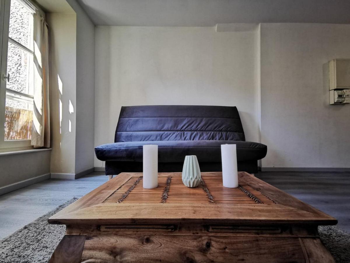 Apartament Charmant T2, Proche Gare Vienne  Zewnętrze zdjęcie